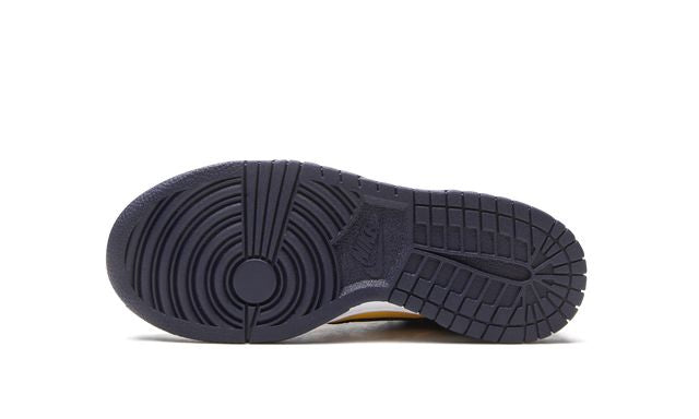 NK Dunk Low Michigan