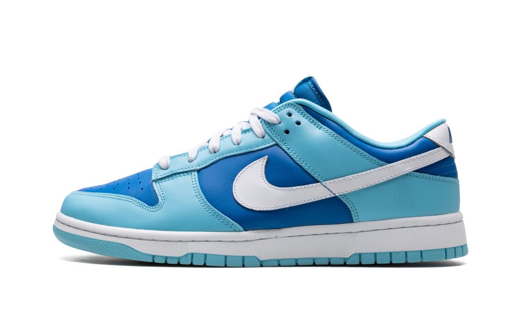 NK Dunk Low Retro Argon