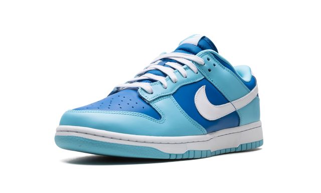 NK Dunk Low Retro Argon 